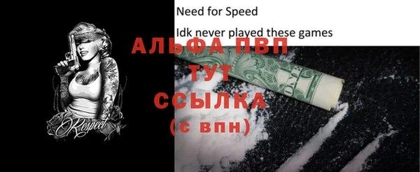 хмурый Верея